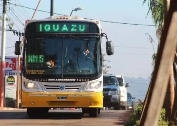 colectivos Iguazú