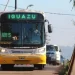 colectivos Iguazú