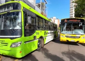 Colectivos de Bencivenga y de Don Casimiro