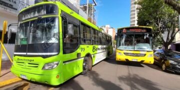 Colectivos de Bencivenga y de Don Casimiro