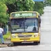 colectivos montecarlo