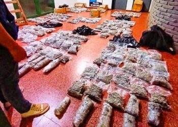 La marihuana incautada está valuada en más de $7millones