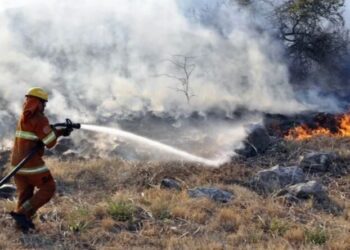 Bomberos trabajan para contener el fuego