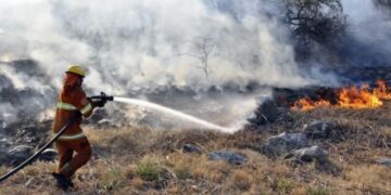 Bomberos trabajan para contener el fuego