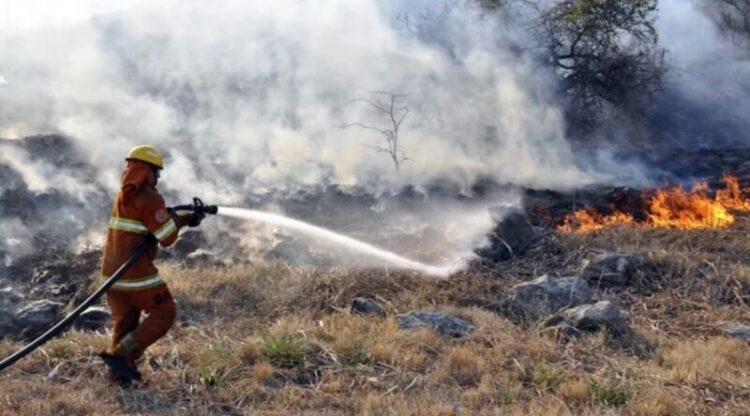 Bomberos trabajan para contener el fuego