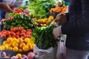 Misiones entregará equipamiento a productores para impulsar la producción hortícola y diversificar las zonas tabacaleras El gobernador Hugo Passalacqua encabezará en San Vicente la entrega de equipamiento destinado a productores de 19 municipios para fortalecer la producción hortícola.