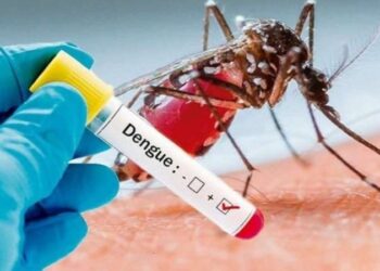 Dengue