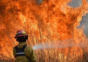 Día Internacional del Bombero Forestal