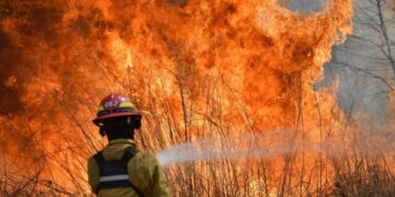 Día Internacional del Bombero Forestal