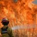 Día Internacional del Bombero Forestal