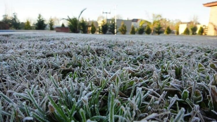 invierno en misiones