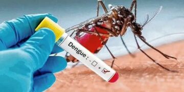 dengue