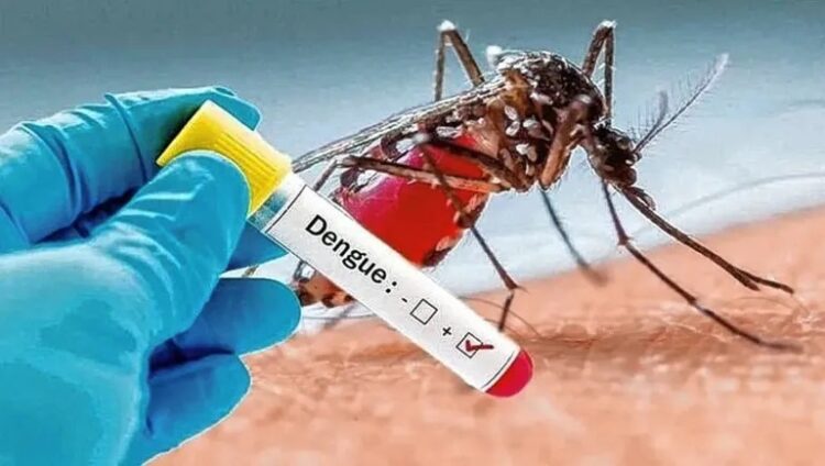 dengue