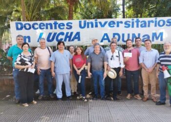 docentes universitarios