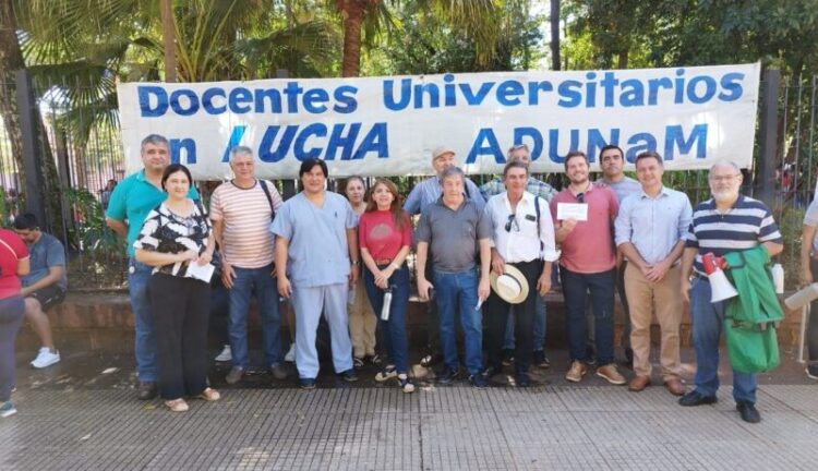 docentes universitarios