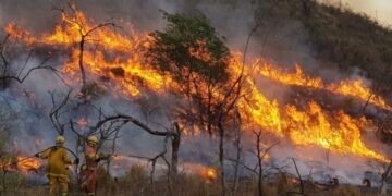 Incendios en Córdoba