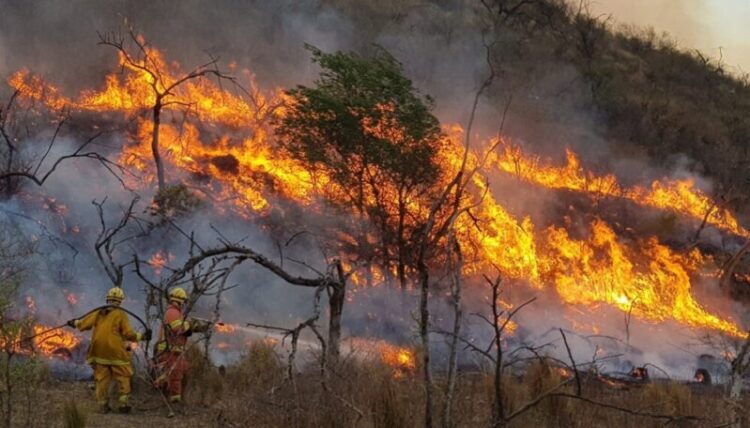 Incendios en Córdoba