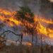 Incendios en Córdoba