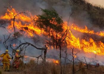 Incendios en Córdoba