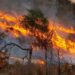 Incendios en Córdoba