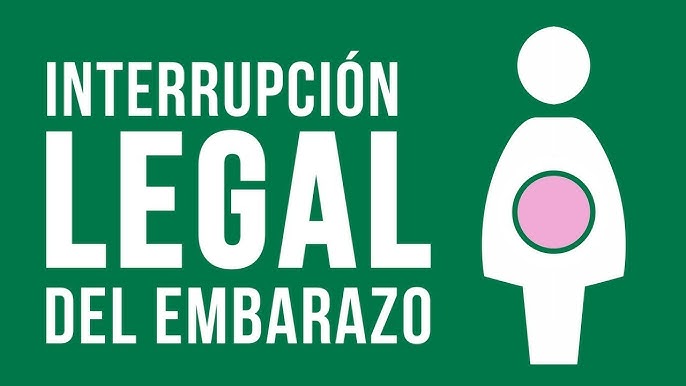 IVE en Argentina | “Desde que esta ley existe, las muertes por aborto se redujeron casi a la mitad”, afirmó Mercedes Krause ive - 2