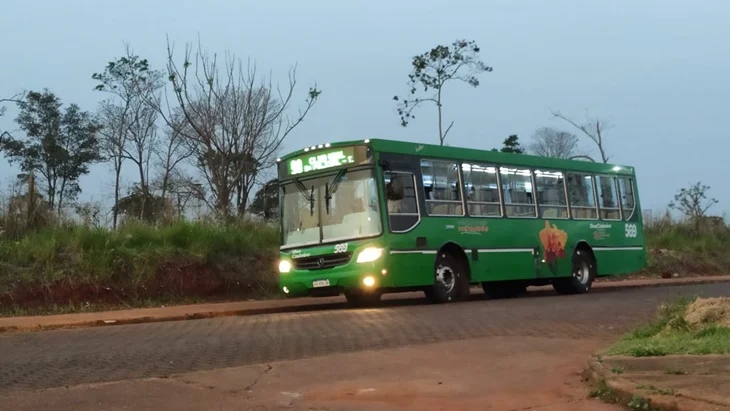 colectivos - 4