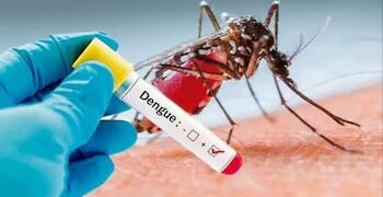 dengue