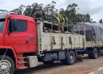 camion con metales en Corrientes