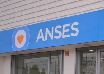 ANSES