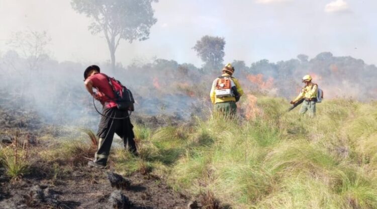 incendio en Santa Ana