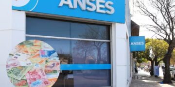 ANSES