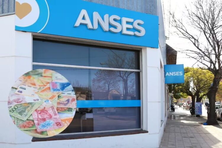 ANSES