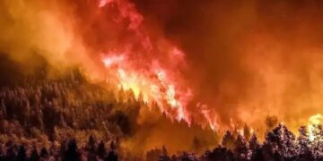 incendios en bariloche