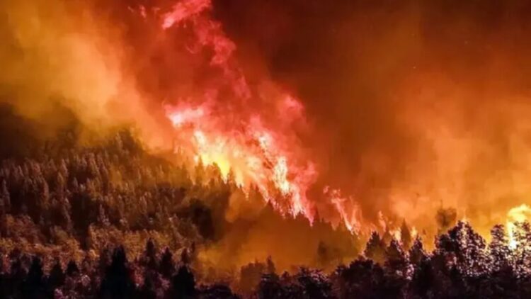 incendios en bariloche