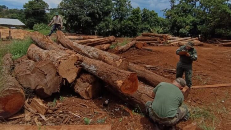 ecología