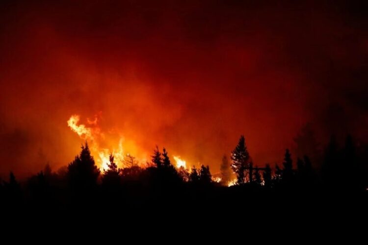 Incendios en la patagonia