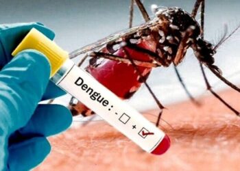 dengue