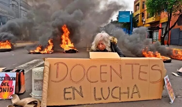 docentes