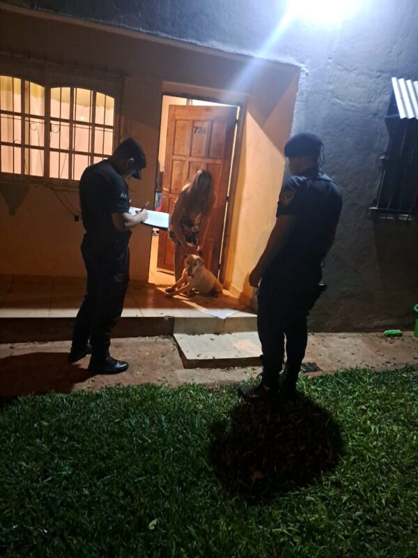 Encontraron a “Luna”, una perra Pitbull que había sido robada de una casa en Oberá 3 1743079334682 luna3 - 2