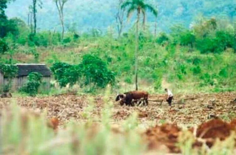 regularizacion de tierras