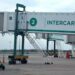 Intercargo