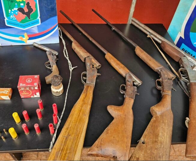 Andresito: Niña de 8 años sacó a pasear a su perro y vecinos dispararon al animal 6 andresito - 5