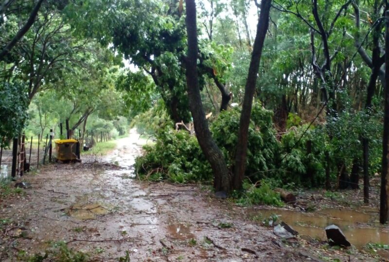 Tornado en Isla Apipé voló techos, árboles y dejó sin luz a los habitantes 6 apipe1 - 5