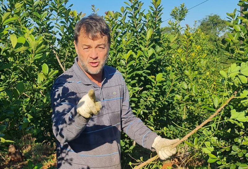 Elecciones en San Vicente: “Cacho” Bárbaro se vengó con claridad del intendente Rodríguez cacho barbaro yerba - 1
