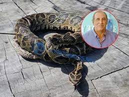 Concejal correntino fue mordido por una yarará y murió 4 images 2 7 - 3
