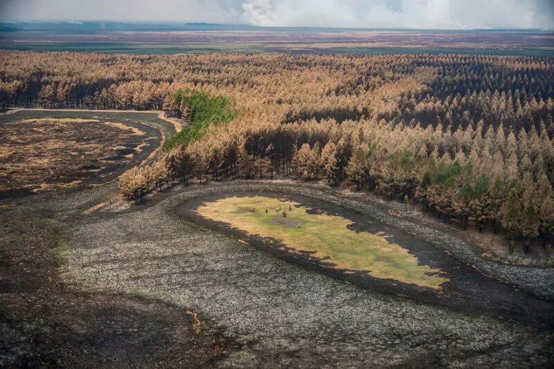 Corrientes dará préstamos a tasa cero para afectados por los incendios incendios Corrientes - 7