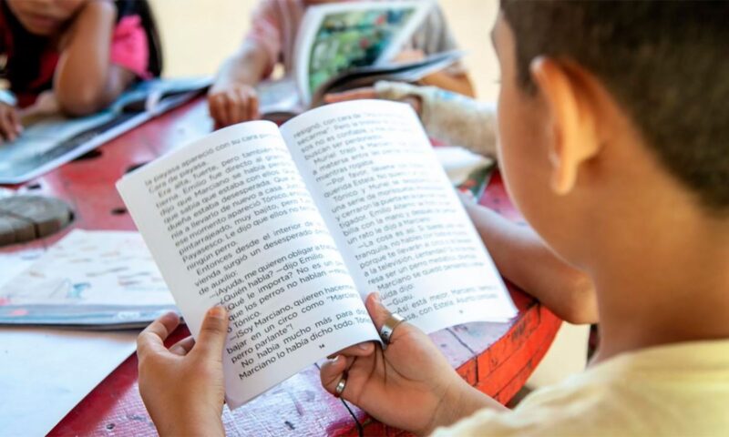 “Desilustración”: alertan por la pérdida masiva del hábito de leer