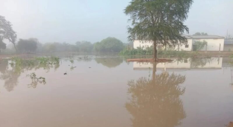 Preocupación en el Chaco salteño: crecida del Bermejo agrava la situación pilcomayo 1 - 7