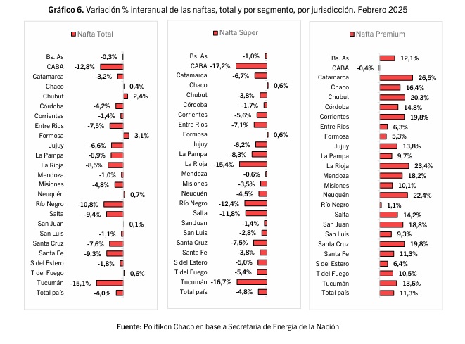 Misiones tuvo otra baja en la venta de combustibles durante febrero 5 por tipo de combustible febrero 2025 - 4