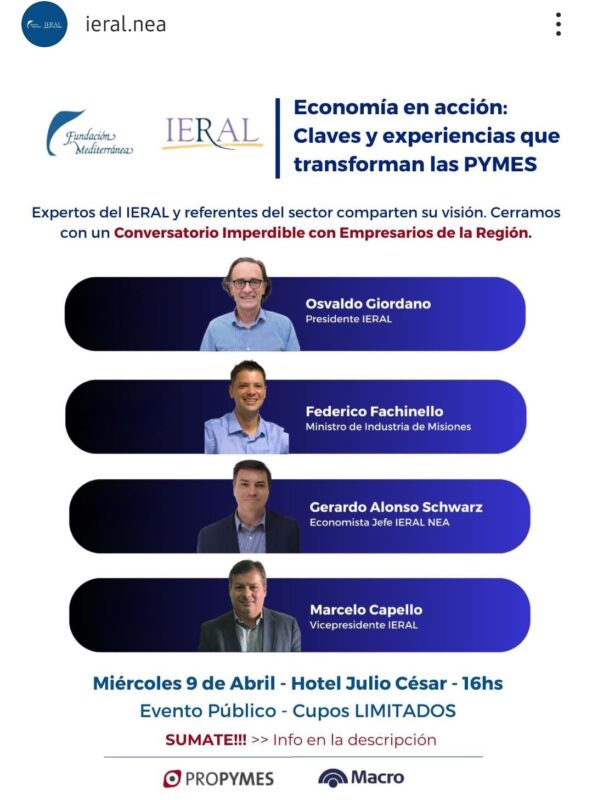 Las PYMES en acción: Economía, desafíos y oportunidades en el NEA 5 pymes - 4